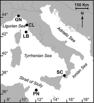 Reproduction of the Azooxanthellate Coral Caryophyllia inornata Is Not Affected by Temperature Along an 850 km Gradient on the Western Italian Coast